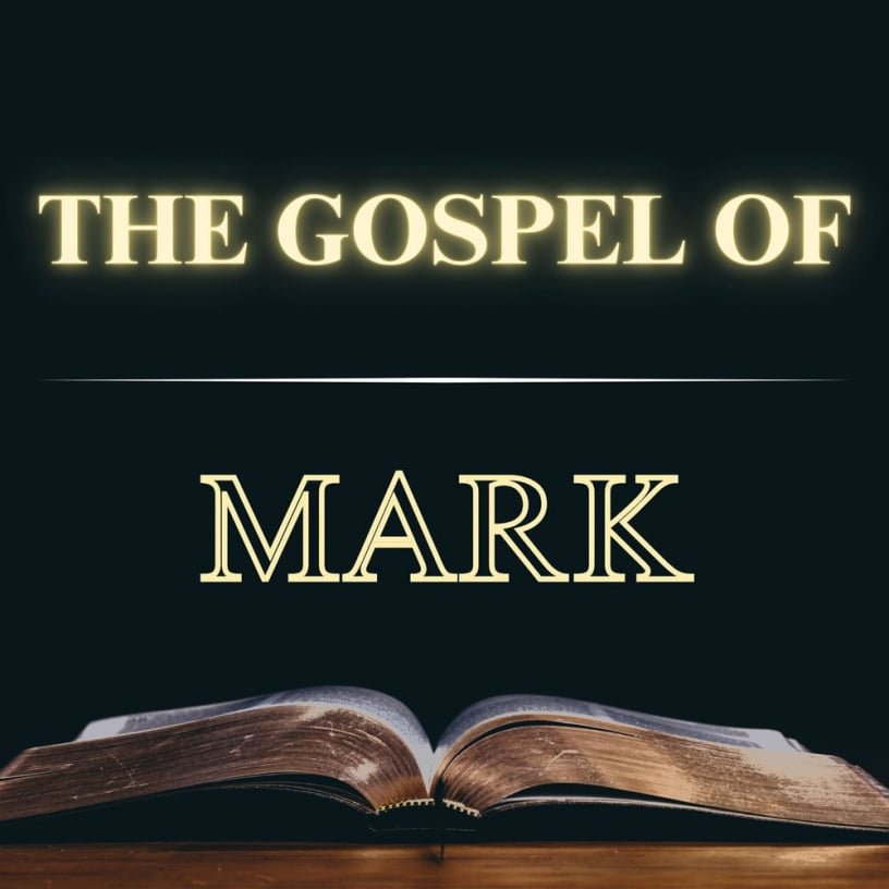 The Great Book of Bible Verses Bonus